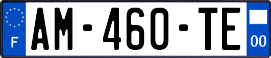 AM-460-TE