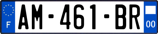 AM-461-BR