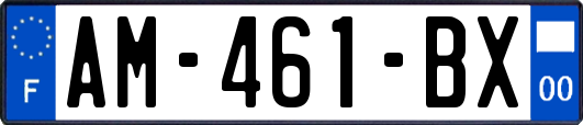 AM-461-BX