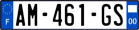 AM-461-GS