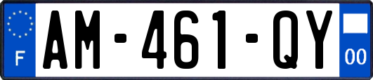 AM-461-QY