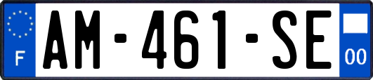 AM-461-SE