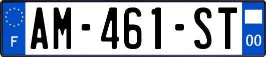 AM-461-ST