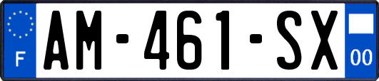 AM-461-SX