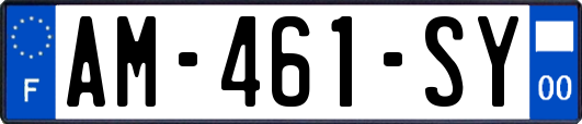 AM-461-SY