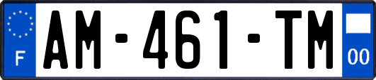 AM-461-TM