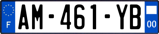 AM-461-YB