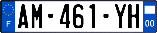 AM-461-YH