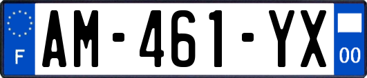AM-461-YX
