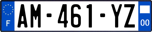 AM-461-YZ