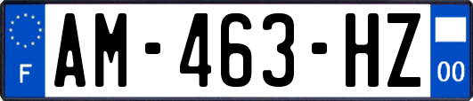 AM-463-HZ