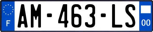 AM-463-LS