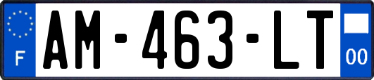 AM-463-LT