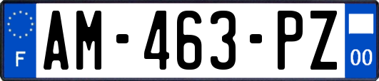 AM-463-PZ