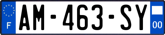 AM-463-SY