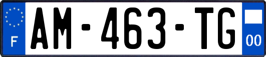 AM-463-TG