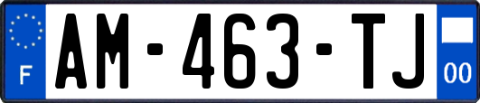 AM-463-TJ
