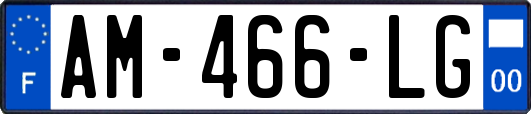 AM-466-LG