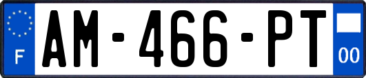 AM-466-PT
