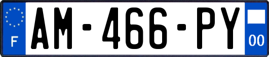 AM-466-PY