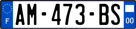 AM-473-BS