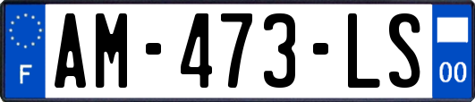 AM-473-LS