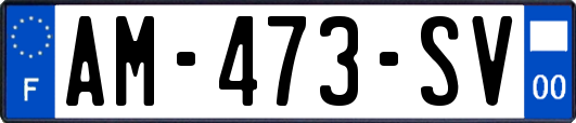 AM-473-SV