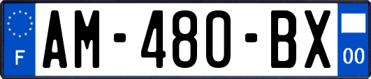 AM-480-BX