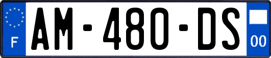 AM-480-DS