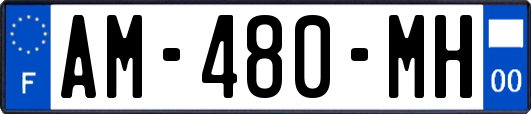 AM-480-MH