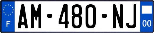 AM-480-NJ