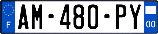 AM-480-PY
