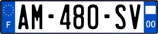 AM-480-SV