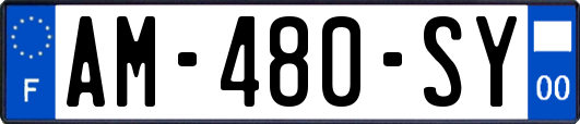 AM-480-SY