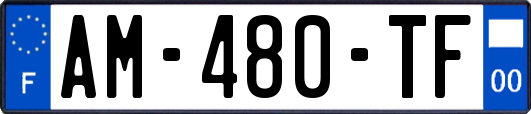 AM-480-TF