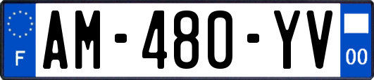 AM-480-YV
