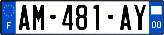 AM-481-AY