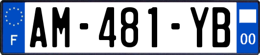 AM-481-YB