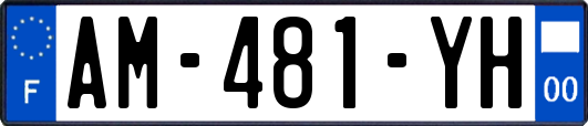 AM-481-YH