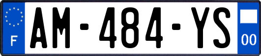 AM-484-YS