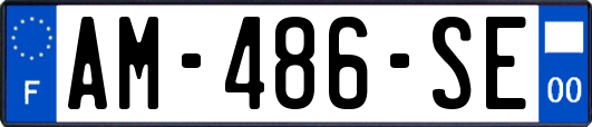 AM-486-SE