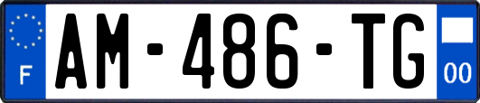 AM-486-TG
