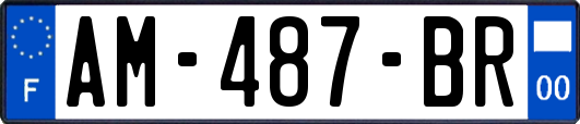 AM-487-BR