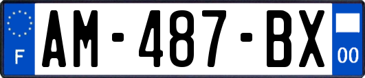 AM-487-BX