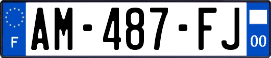 AM-487-FJ
