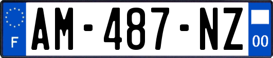 AM-487-NZ