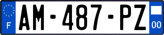 AM-487-PZ