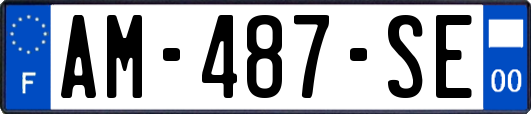 AM-487-SE