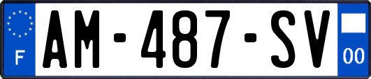 AM-487-SV