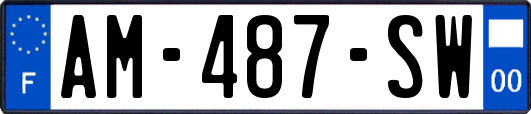 AM-487-SW